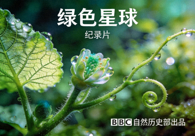 纪录片《绿色星球》海报，微观视角下的植物世界